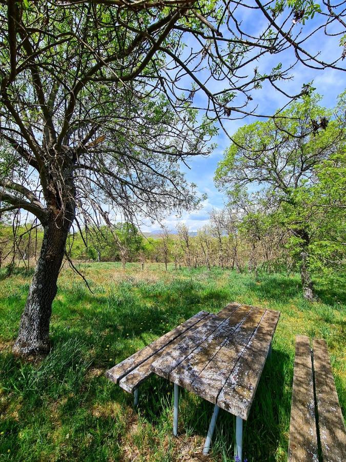 Acogedora Y Romantica Casita En La Sierra Garganta De Los Montes Εξωτερικό φωτογραφία