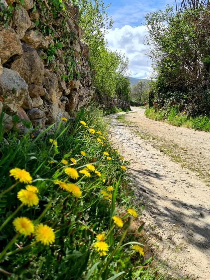 Acogedora Y Romantica Casita En La Sierra Garganta De Los Montes Εξωτερικό φωτογραφία