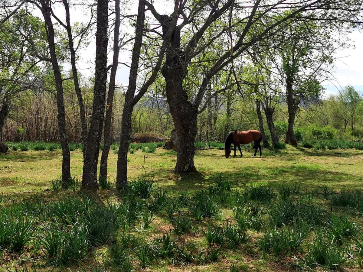 Acogedora Y Romantica Casita En La Sierra Garganta De Los Montes Εξωτερικό φωτογραφία